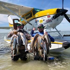 Meet your Posher, Thomas cuatro